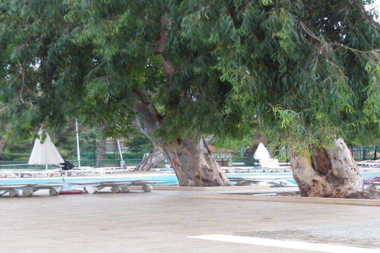 Larissa Art Beach Göynük Exterior foto